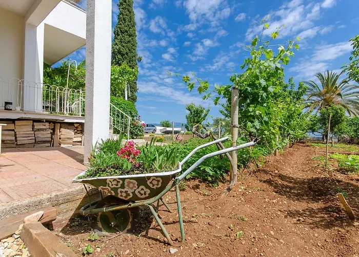 Jerko Apartman Sutivan